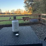 度假居 The Hideaway Glamping Pod 2 With Hot Tub & Cold Shower