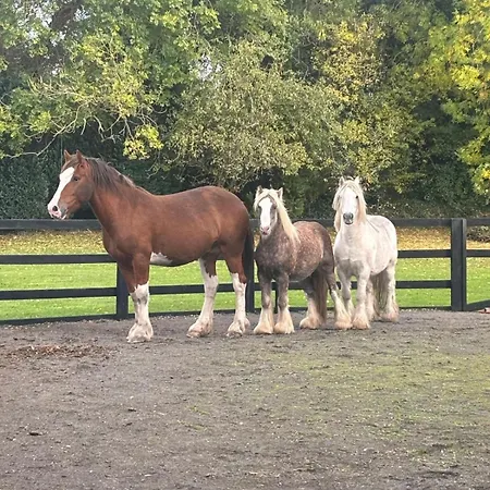 The Hideaway Glamping Pod 2 With Hot Tub & Cold Shower * Naas