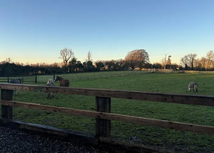 度假居 The Hideaway Glamping Pod 2 With Hot Tub & Cold Shower