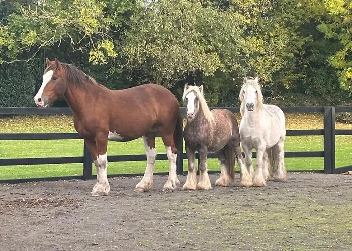 The Hideaway Glamping Pod 2 With Hot Tub & Cold Shower * 纳斯